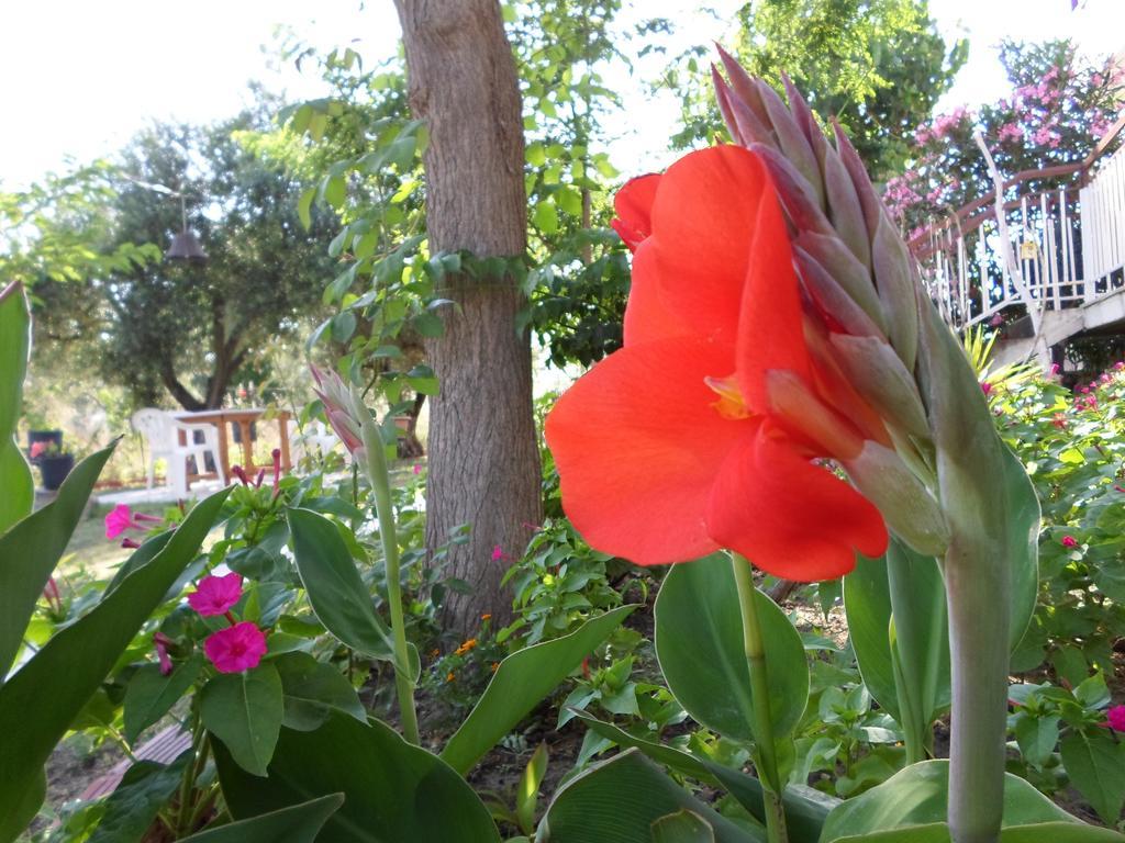 Bozelia Apartments Toroni Buitenkant foto